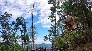 西塞国森林公园