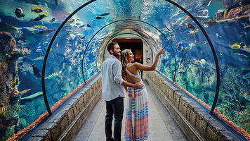 曼德勒湾鲨鱼礁水族馆