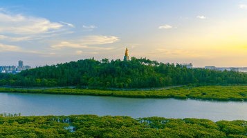 七十二泾海鲜广场