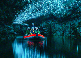 梦幻萤火虫洞之旅