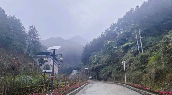 观音山森林公园