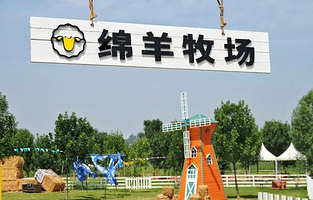 撒欢鸭绵羊牧场