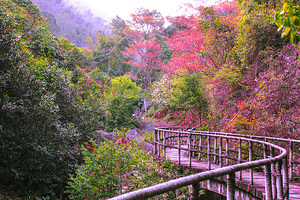 福州旗山国家森林公园