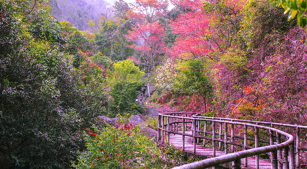 福州旗山国家森林公园