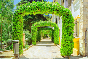 塔霍林荫散步小道