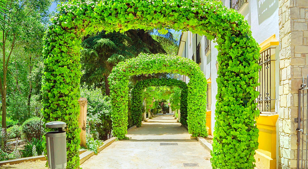 塔霍林荫散步小道