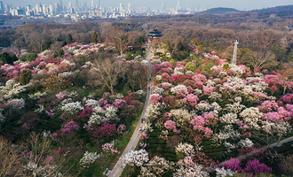 钟山风景名胜区