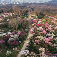 钟山风景名胜区
