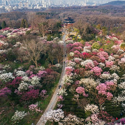 钟山风景名胜区