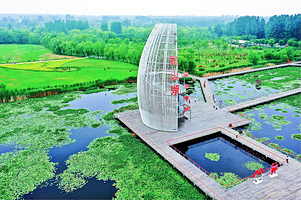 微山湖国家湿地景区