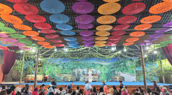 野象谷景区雨林小剧场