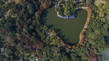 广西壮族自治区南宁市金花茶公园