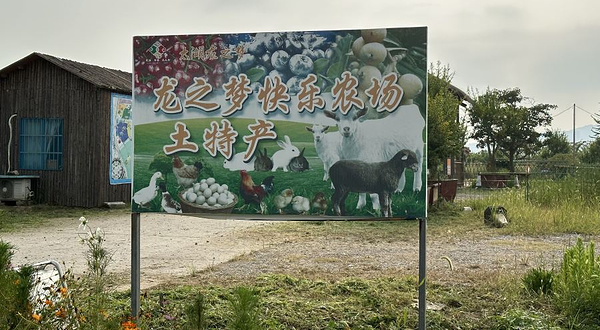 龙之梦快乐农场