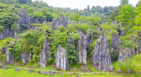 思南石林景区