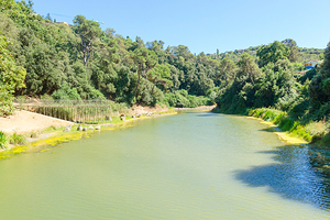 泽雅风景名胜区
