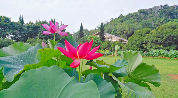 桂林西山景区