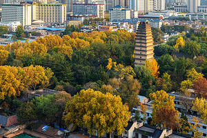 小雁塔遗址公园