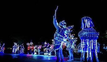 海洋夜光大巡游