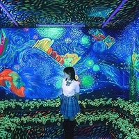 星空下的梵高艺术馆