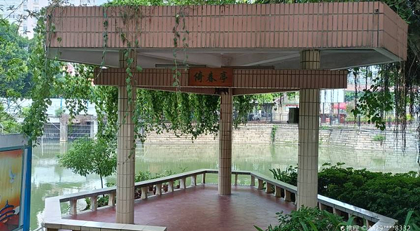 九龙公园