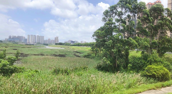 防城港湿地公园