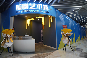 颠倒艺术馆(长沙旗舰店)