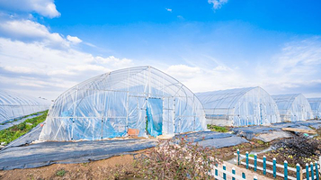 福满庭草莓采摘园