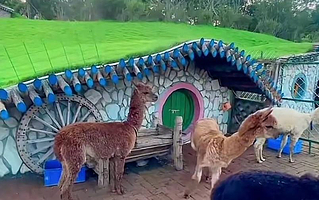 圣鑫葡萄酒庄园