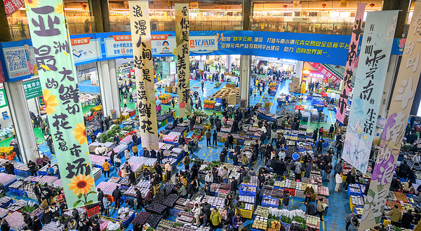 斗南花市