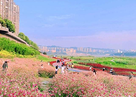 雅巴洞江滩公园