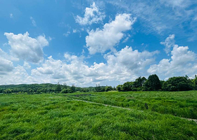 大石头亚光湖国家湿地公园