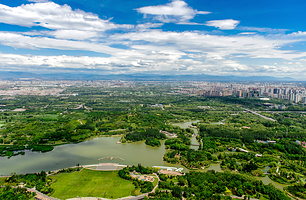 奥林匹克森林公园