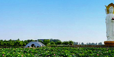 白洋淀荷花大观园(雄县接待处分店)