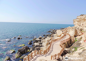 Diving Center Typhoon