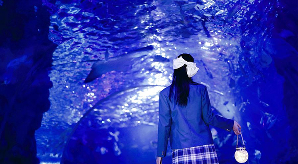 江和美海洋公园