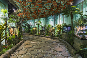 西游王国•西游萌宠空间