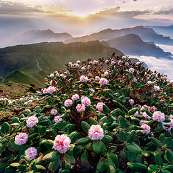 牛背山