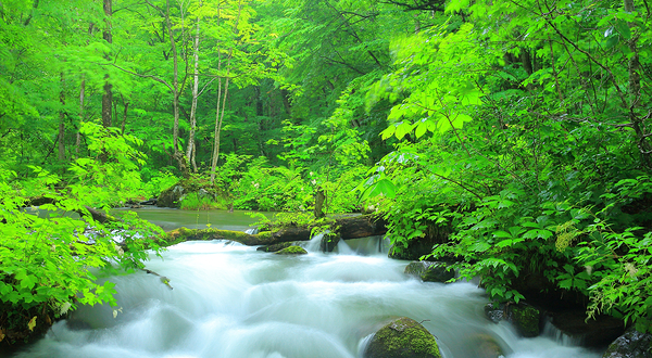 奥入濑溪流