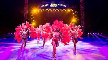 鼎龙湾欢乐大马戏