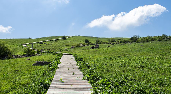 历山舜王坪景区