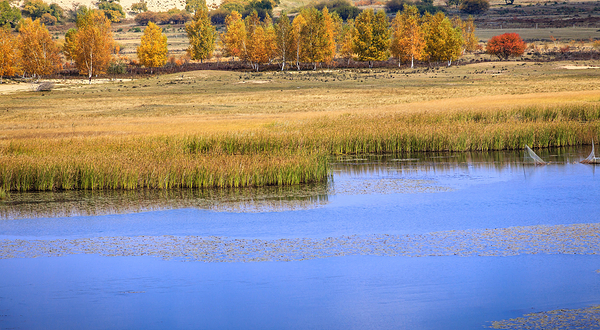 御道口草原森林风景区