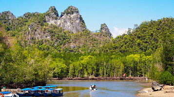 红树林生态保护区