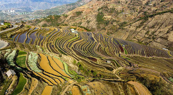 米易傈僳梯田景区
