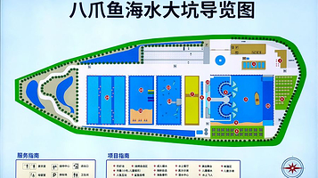 八爪鱼海水大坑