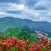 阳明山国家森林公园