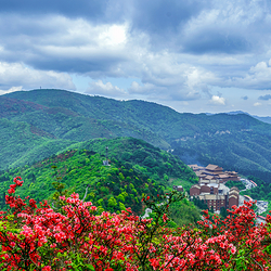 阳明山国家森林公园