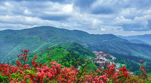 阳明山国家森林公园