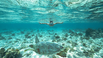 蓝湾玻璃底船浮潜