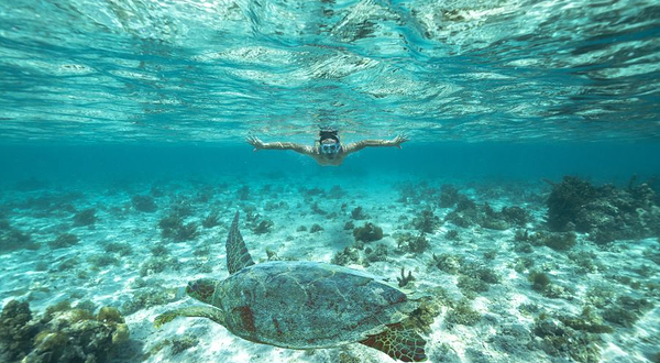 蓝湾玻璃底船浮潜