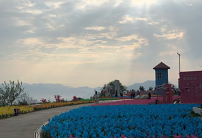 永春上沙岭花果世界